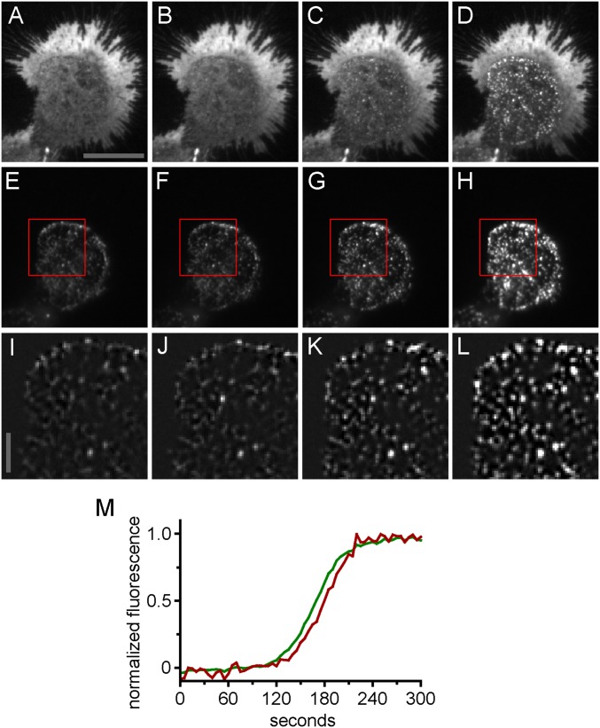 Fig. S3.