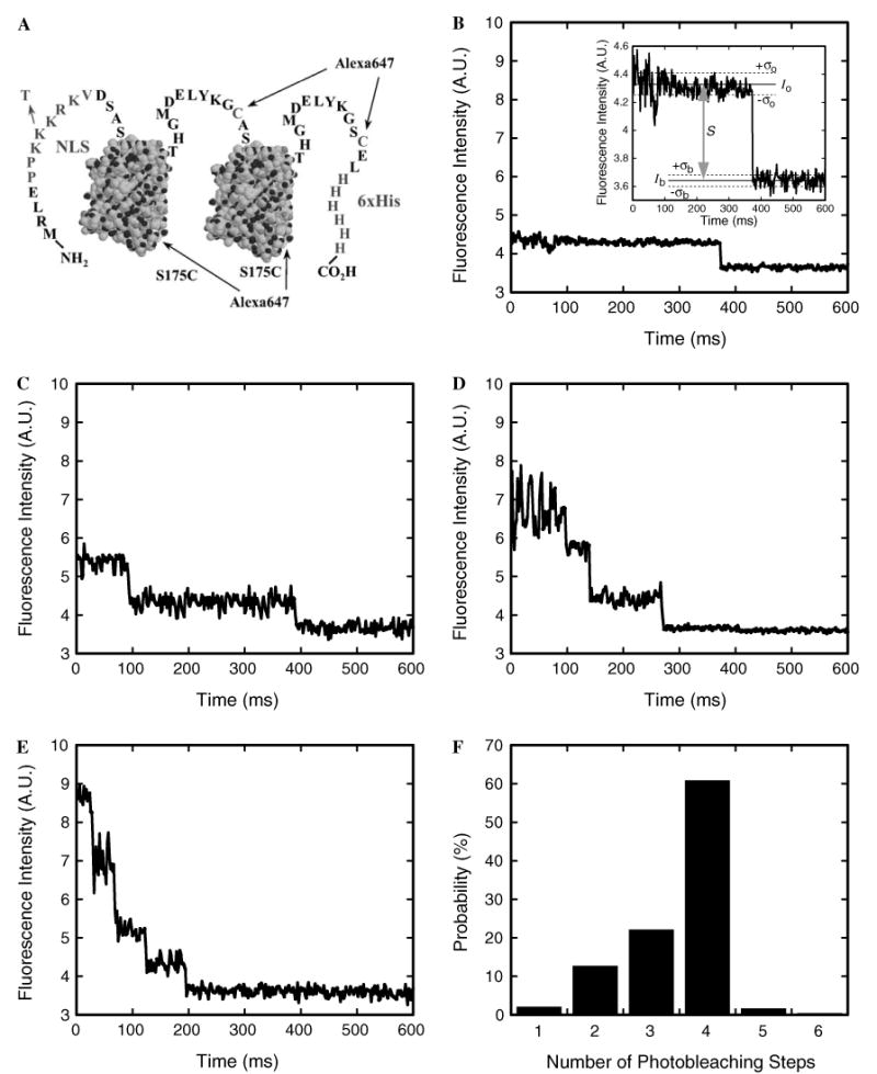 Fig. 5