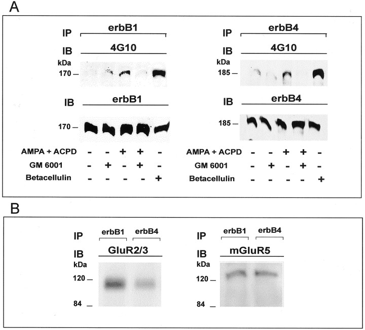 Fig. 9.