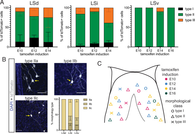 Figure 5—figure supplement 1.