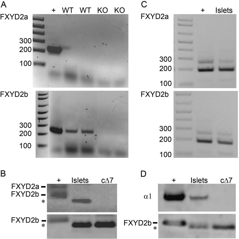 FIGURE 4.