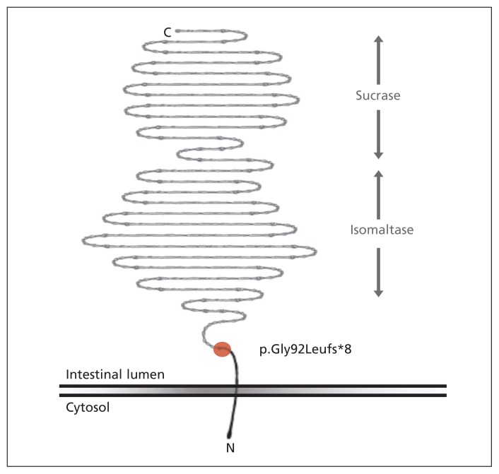 Figure 3: