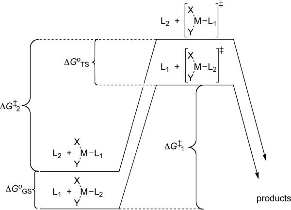 Scheme 5