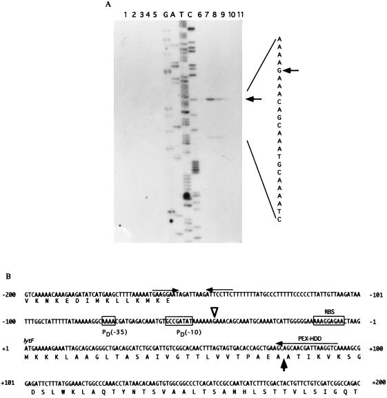 FIG. 5