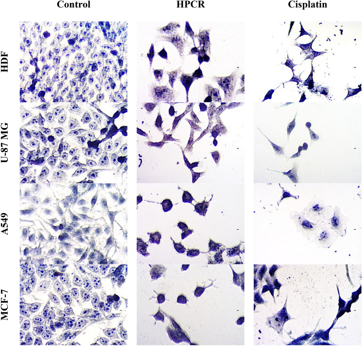 Fig. 9