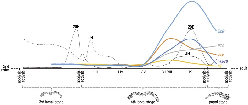 Fig 6