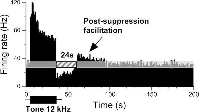 FIG. 7