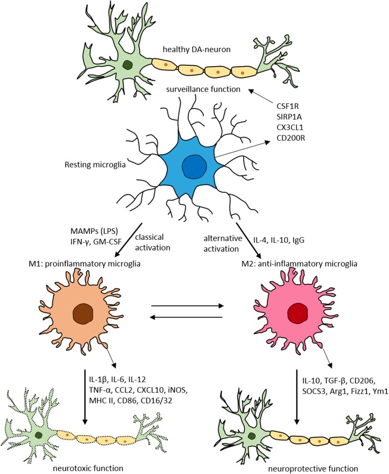 FIGURE 2