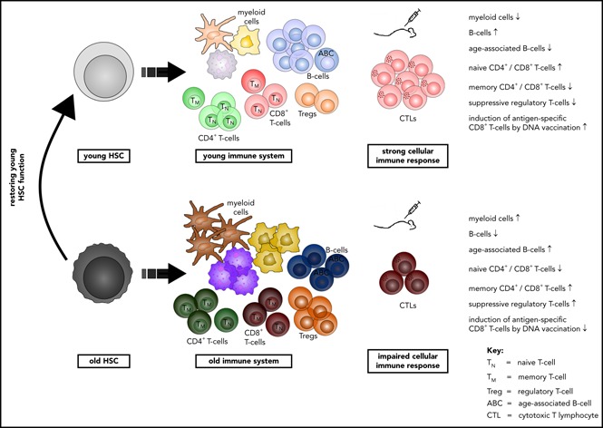 graphic file with name blood831065absf1.jpg