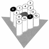 FIG. 4