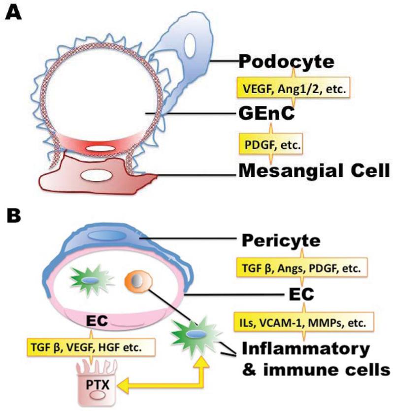 Fig. (2)