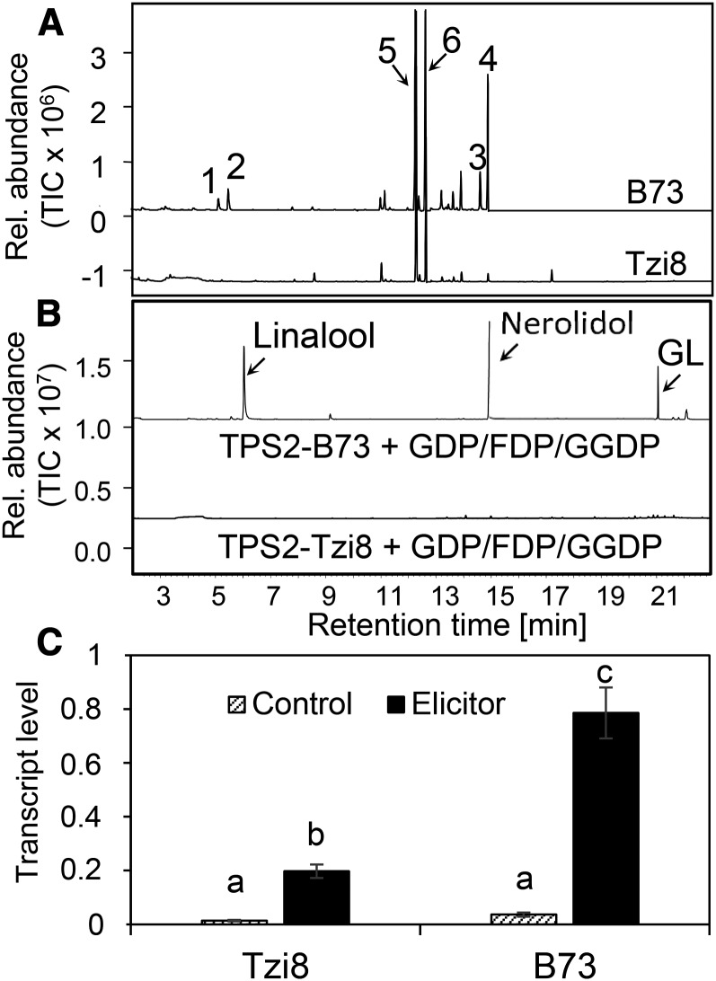 Figure 7.