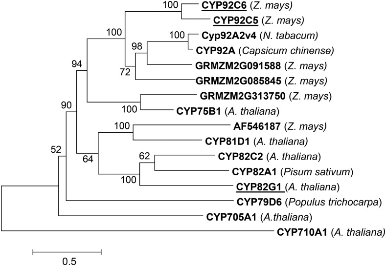 Figure 14.