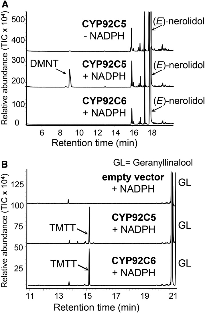 Figure 9.