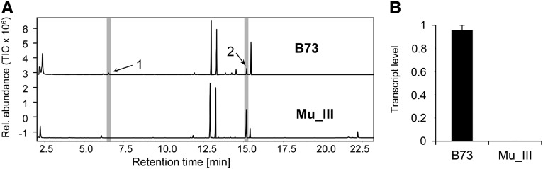 Figure 11.