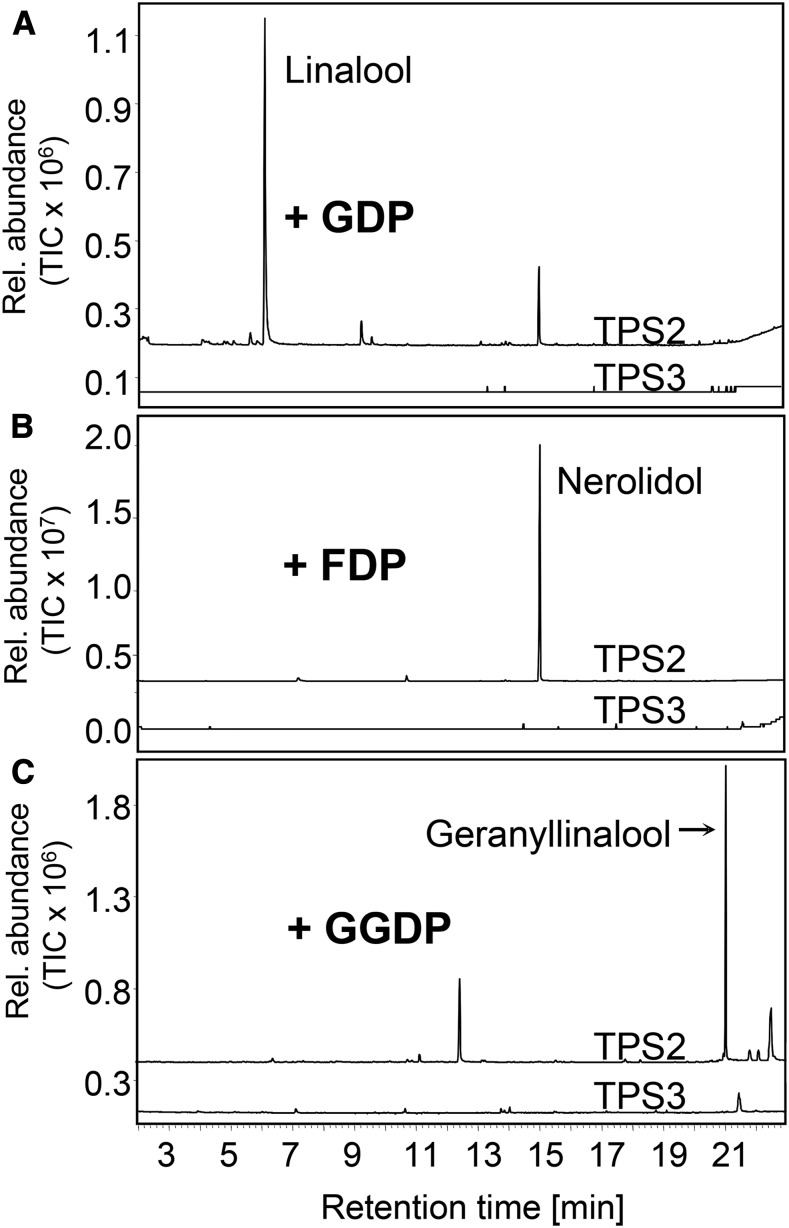 Figure 4.