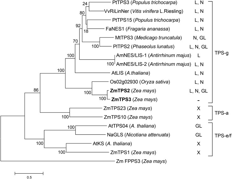 Figure 12.