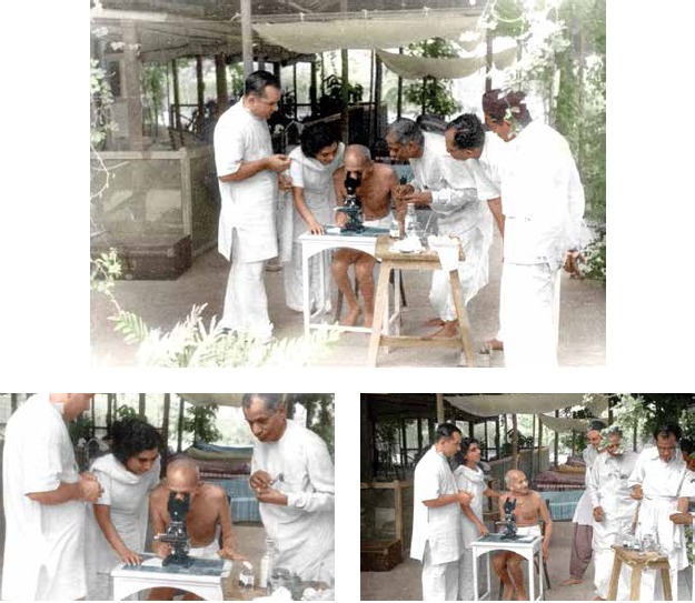 MEDICAL LEGACY OF GANDHI: Demystifying Human Diseases - PMC