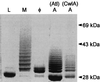 FIG. 10