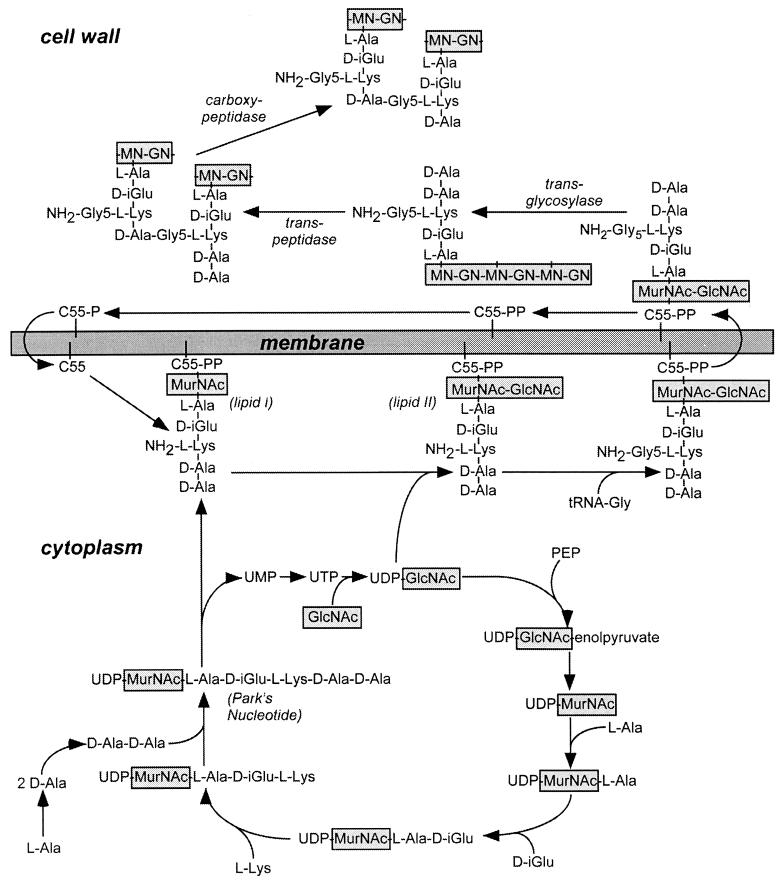 FIG. 3