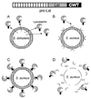 FIG. 19