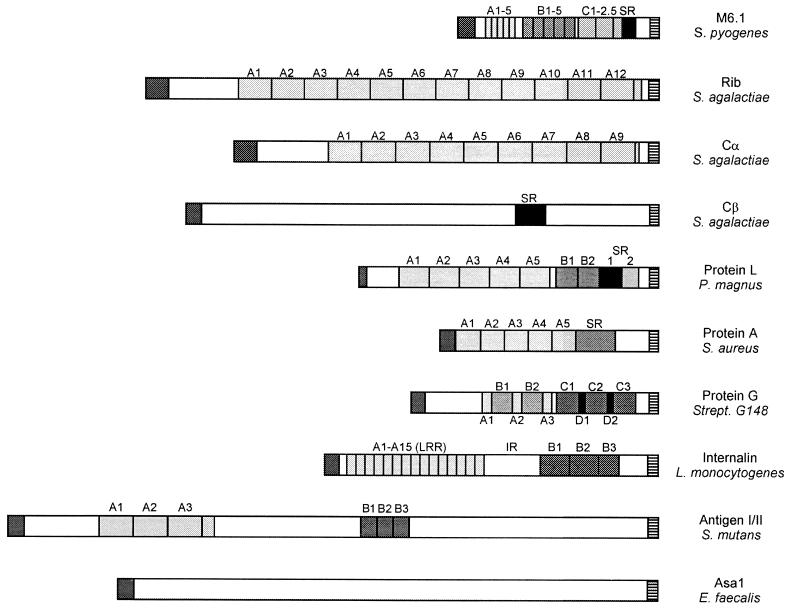 FIG. 15