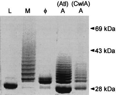 FIG. 10