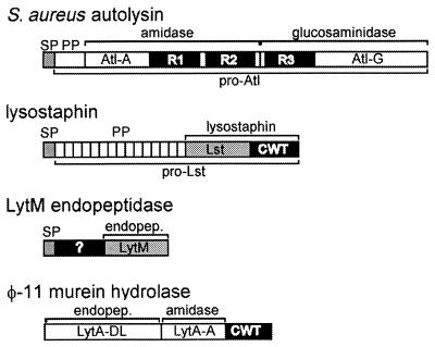 FIG. 18