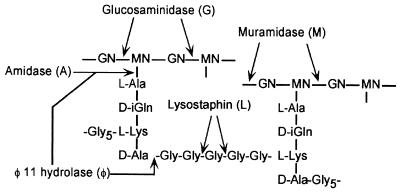 FIG. 17