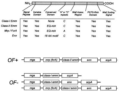 FIG. 16