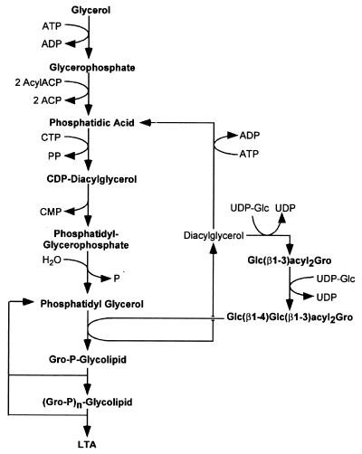 FIG. 7