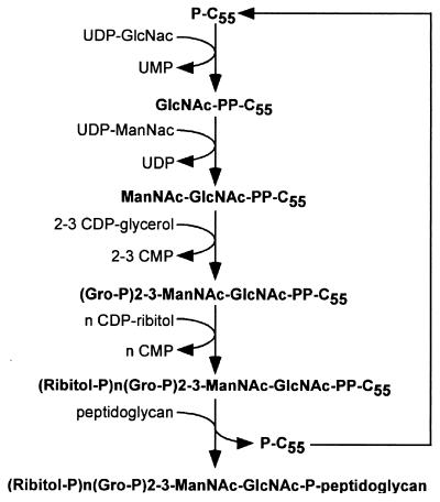 FIG. 5