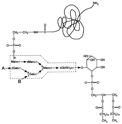 FIG. 13