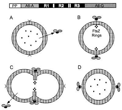 FIG. 20