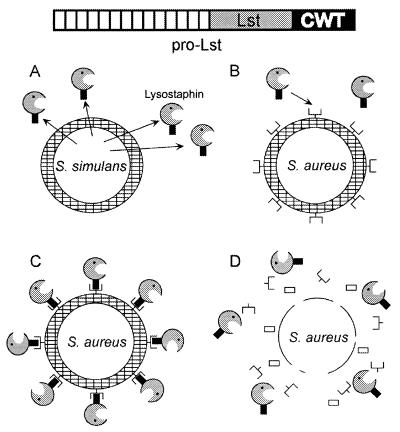 FIG. 19