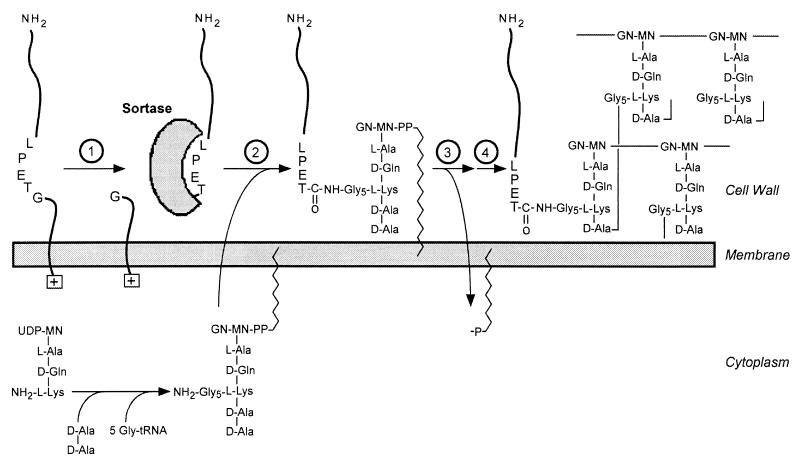 FIG. 9