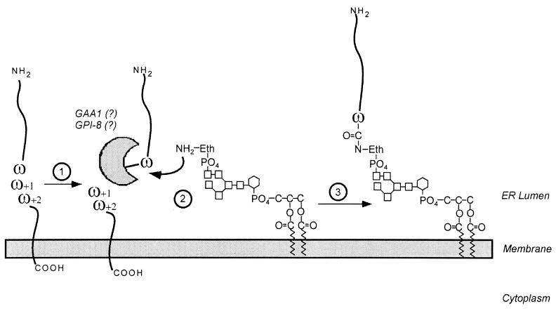 FIG. 14