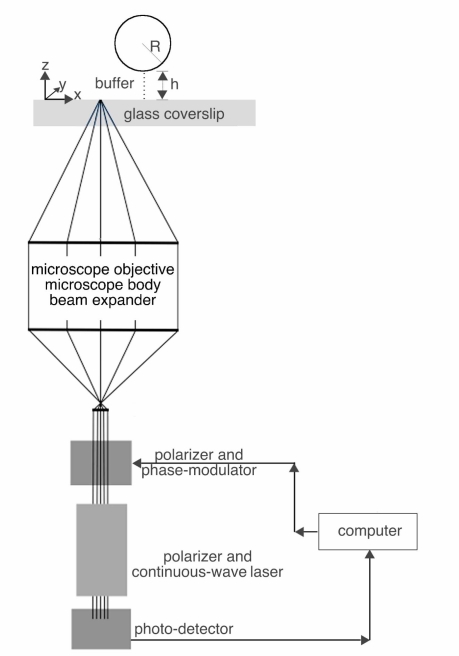 Fig. 1