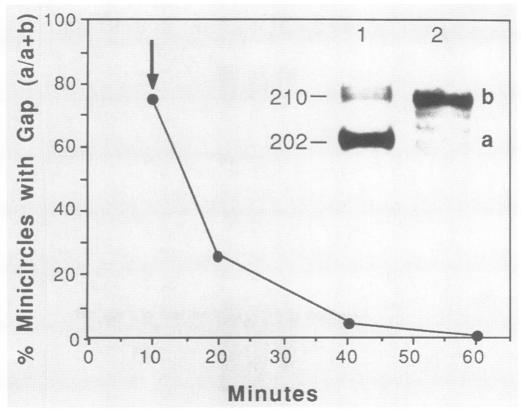 graphic file with name molcellb00056-0072-a.jpg