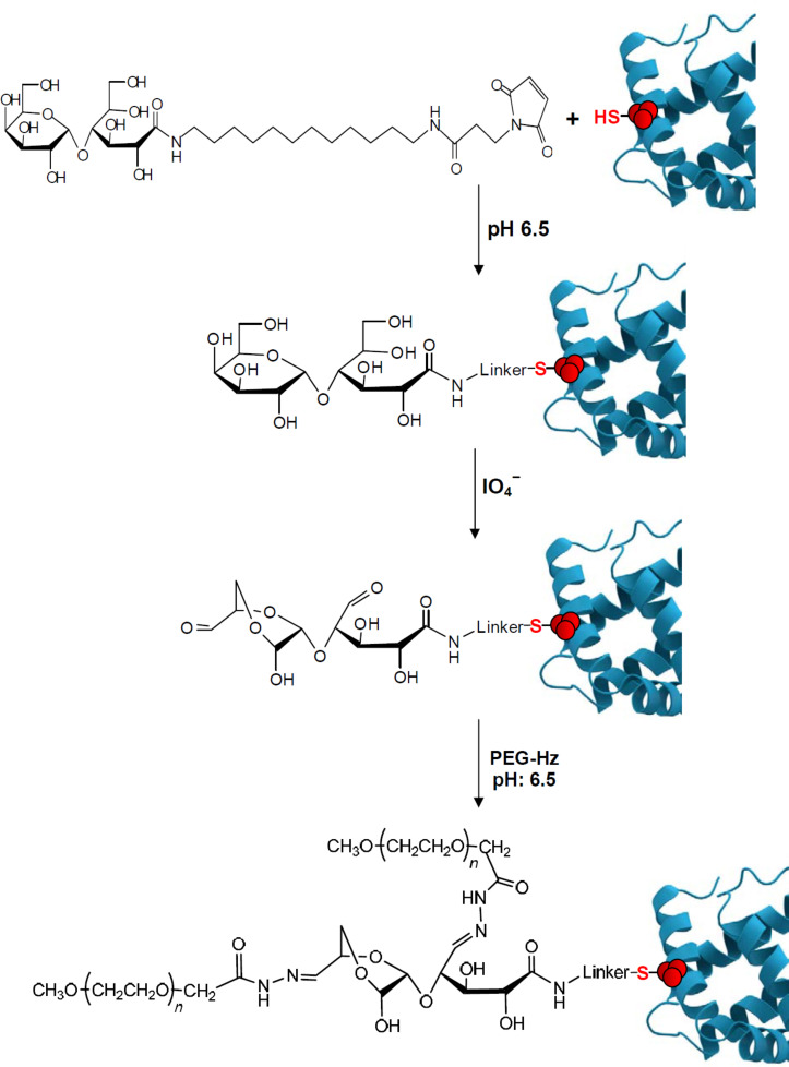 Scheme 3