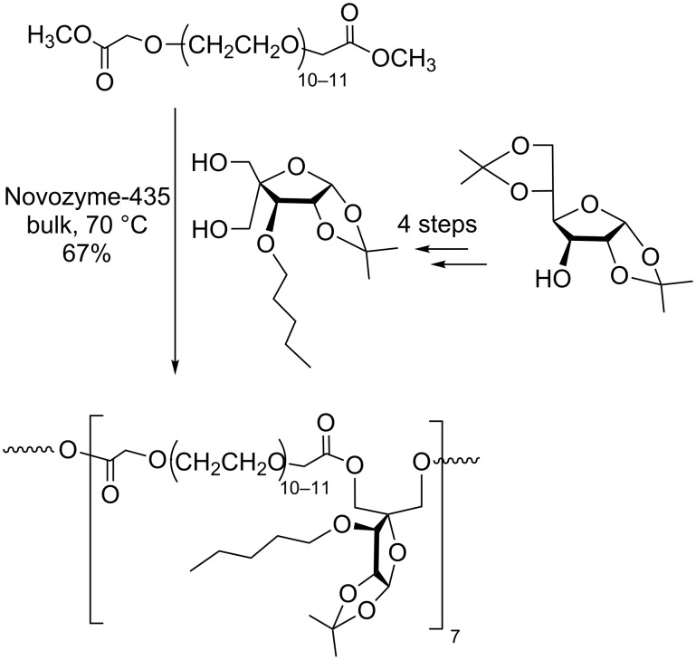 Scheme 5