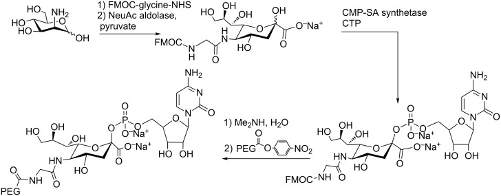 Scheme 1