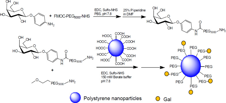 Scheme 6