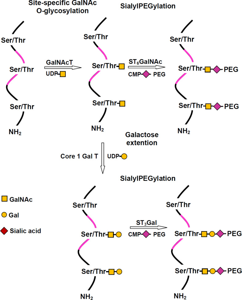 Scheme 2