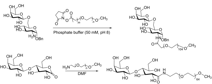 Scheme 7