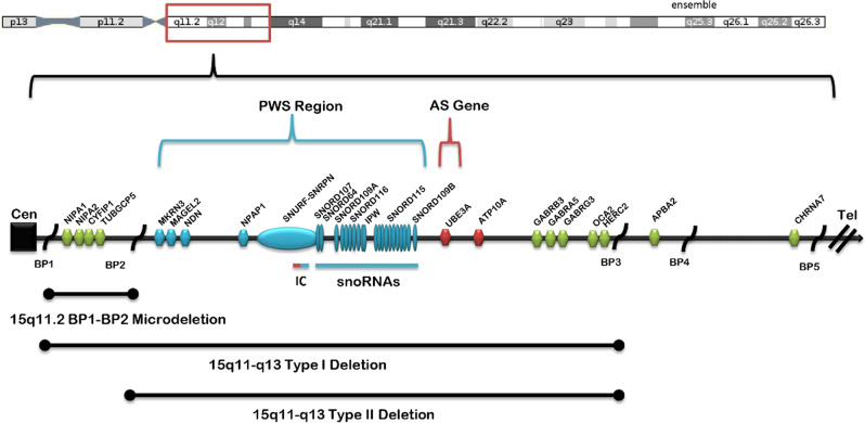 Fig. 2