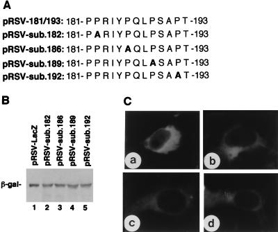 FIG. 6