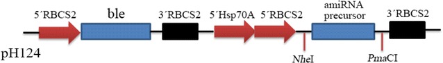 Fig. 5