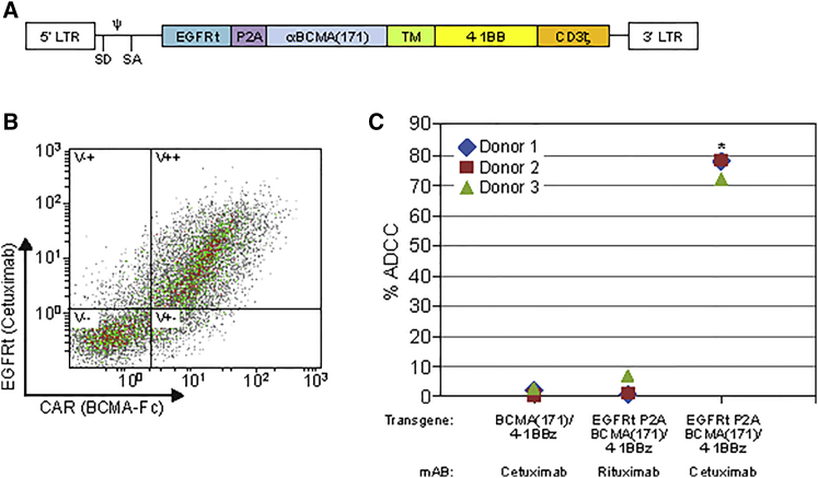 Figure 6