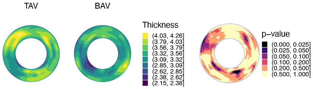 Figure 5: